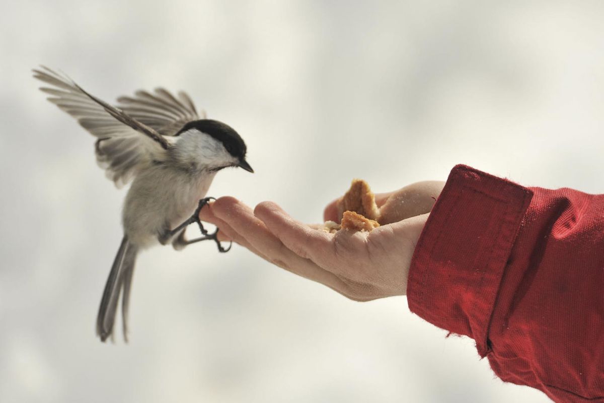 Immigrazione - La consapevolezza collettiva