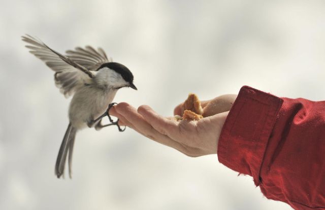Immigrazione - La consapevolezza collettiva