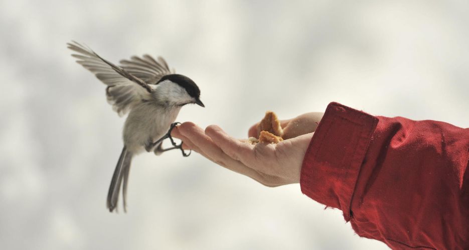 Immigrazione - La consapevolezza collettiva