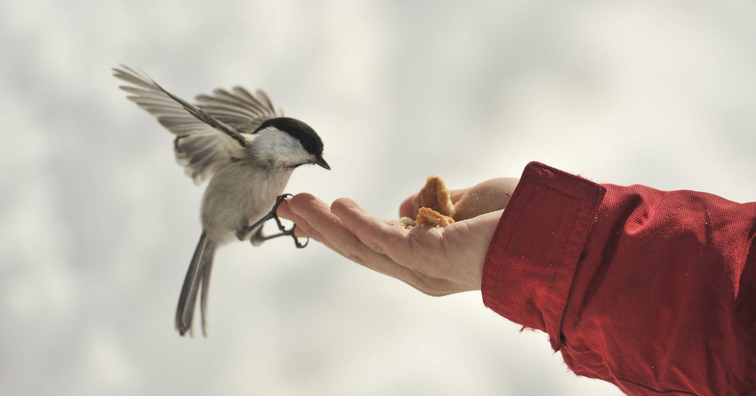 Immigrazione - La consapevolezza collettiva