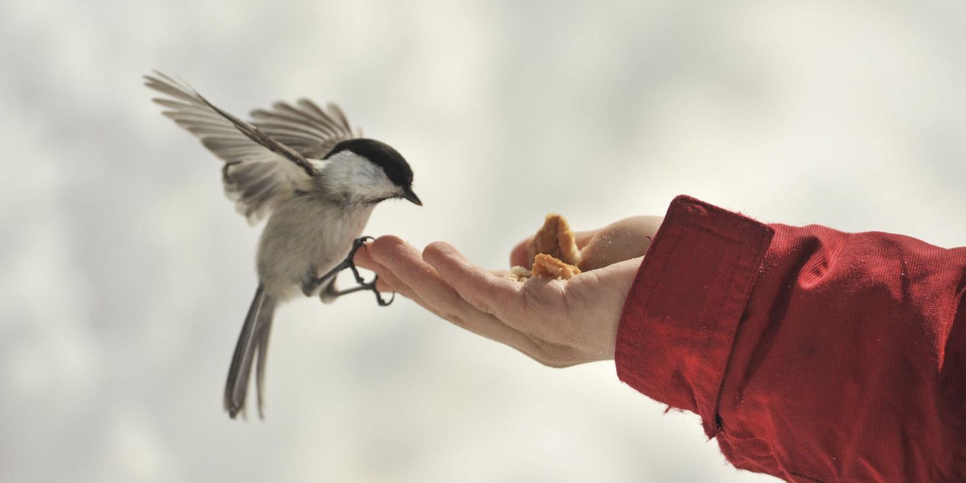 Immigrazione - La consapevolezza collettiva